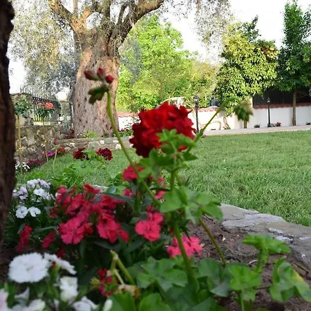 Tsafas αpartments * Limenas (Thasos)