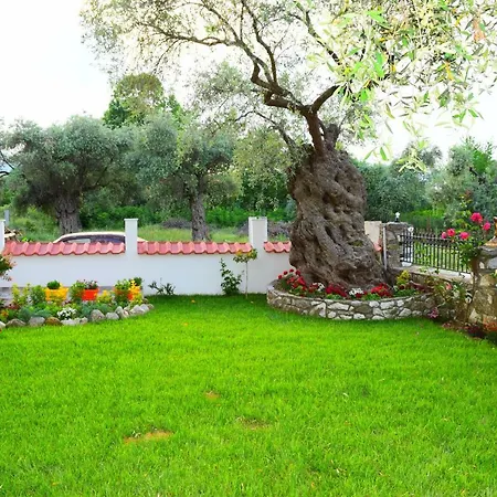 公寓 Tsafas αpartments