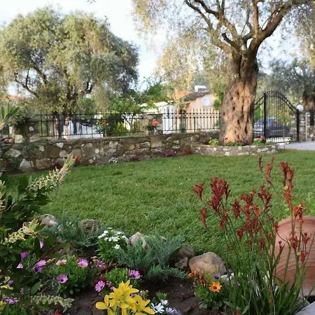 Apartament Tsafas αpartments