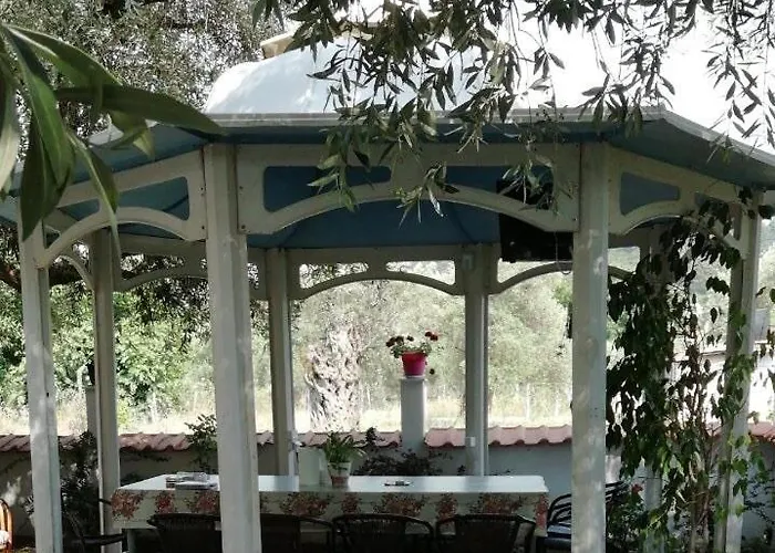 Tsafas αpartments *