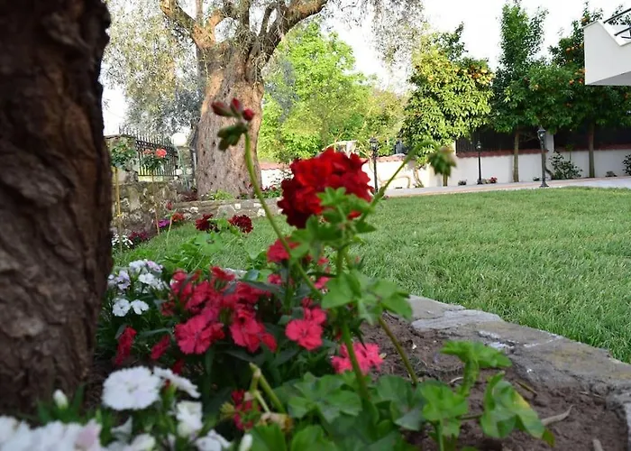 Tsafas αpartments * 萨索斯