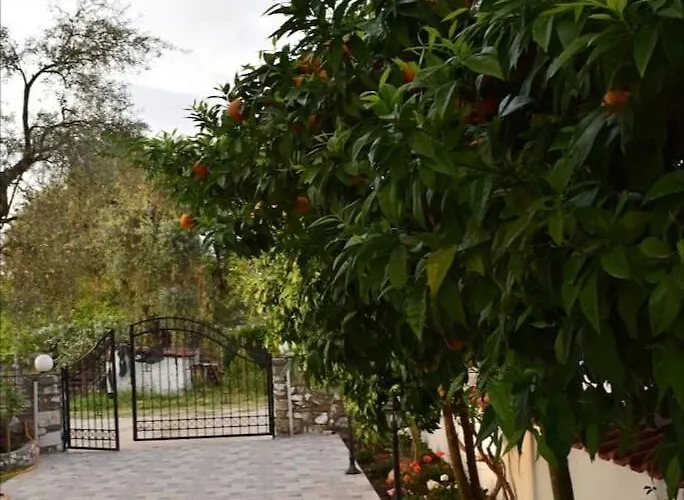 公寓 Tsafas αpartments *