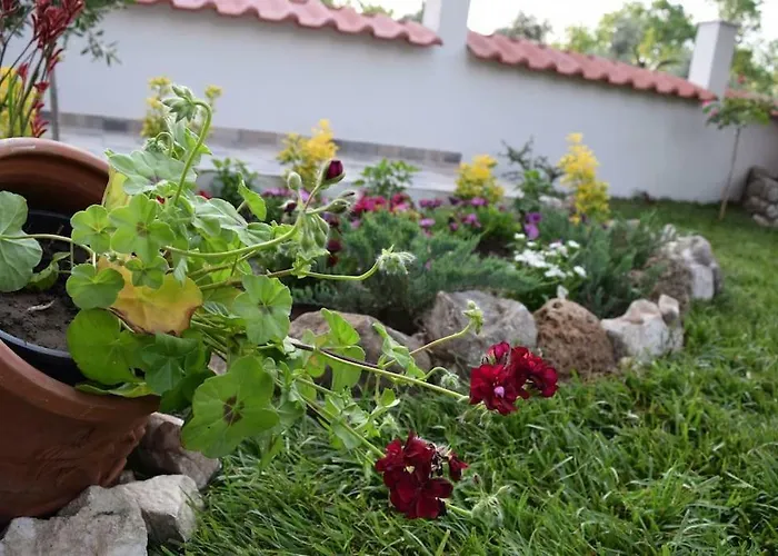 Tsafas αpartments 公寓