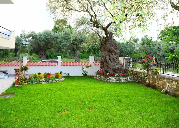 公寓 Tsafas αpartments