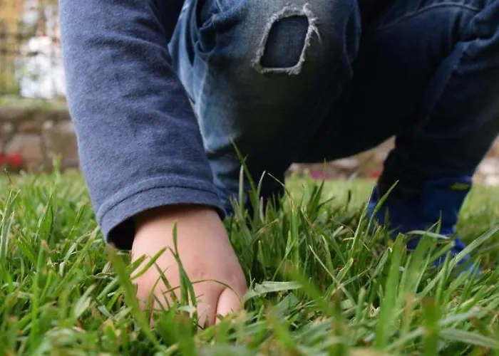 公寓 Tsafas αpartments 萨索斯